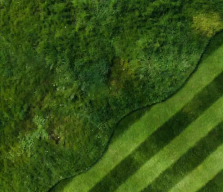 Side-by-side field showing messy grass on one side and tidy mown stripes on the other.