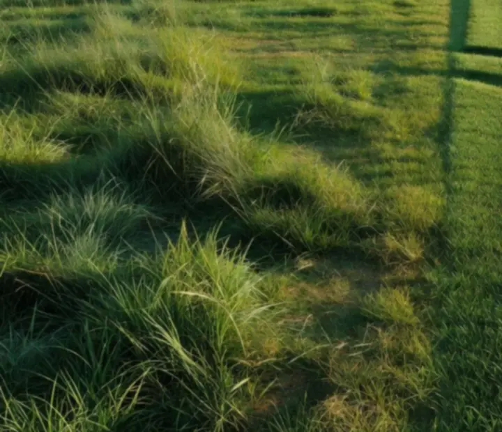 Illustration of overgrown grass being cut into clean, striped lanes in Grass Cutter: Blade Runner 3D.
