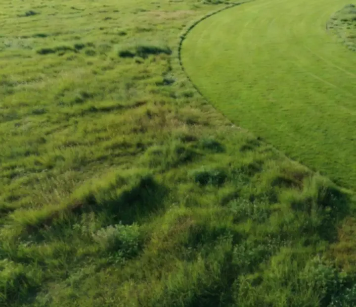 Freshly cut 3D lawn with clean stripes representing the core satisfaction of Grass Cutter: Blade Runner 3D.